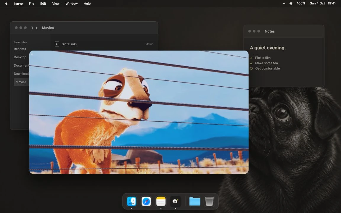Caminandes in the real kurtz player, staged on a Mac desktop with Finder, Notes and a subtle pug wallpaper. Controls hidden.